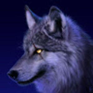 Meet your Posher, Missy